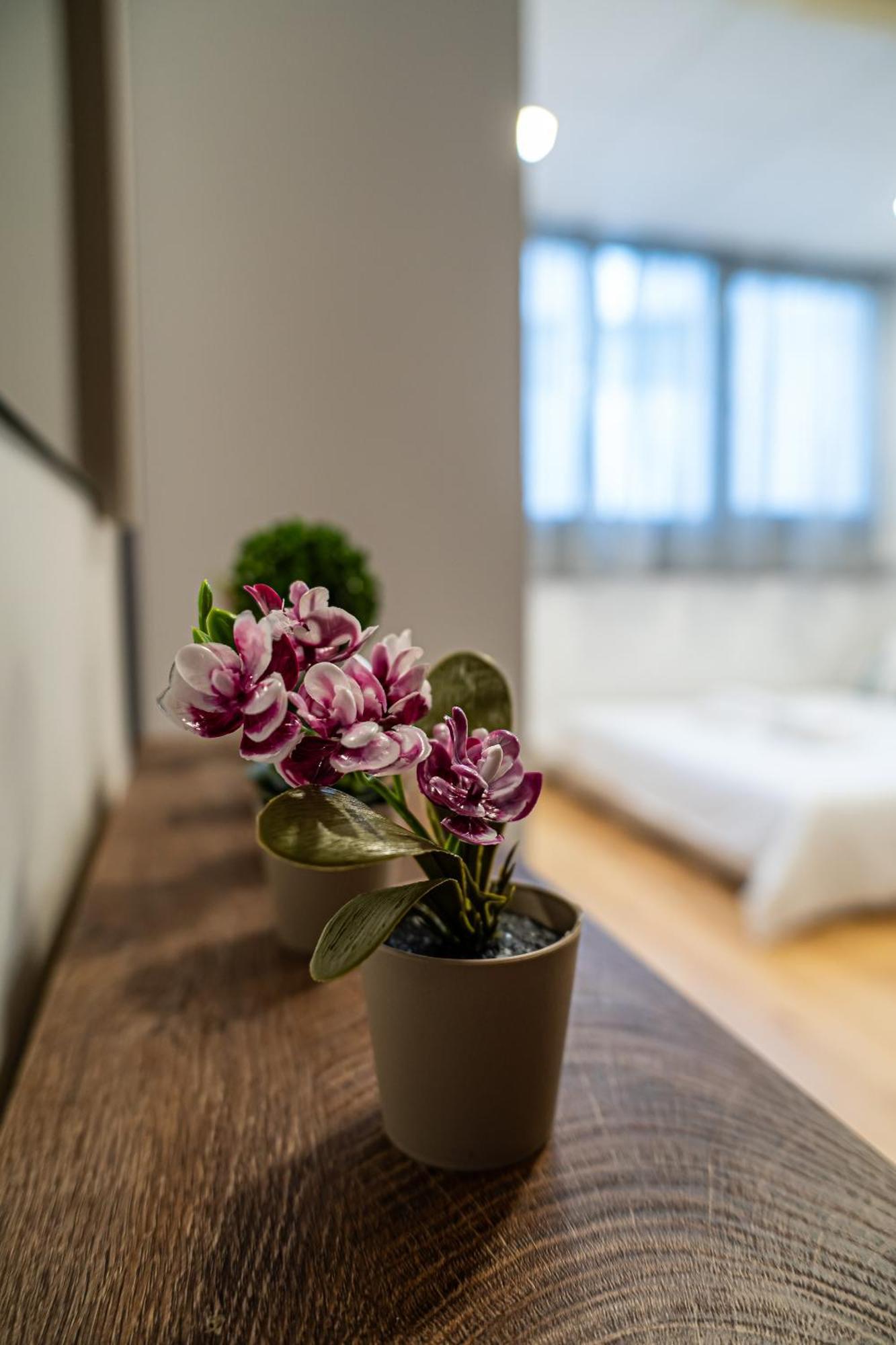 Feel Greek Hospitality #θ010 Apartment *